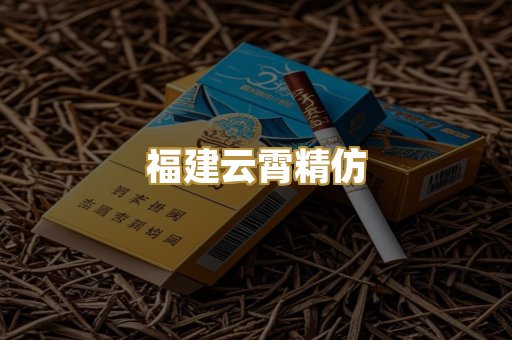 福建云霄精仿